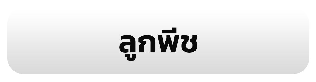 รูป 26