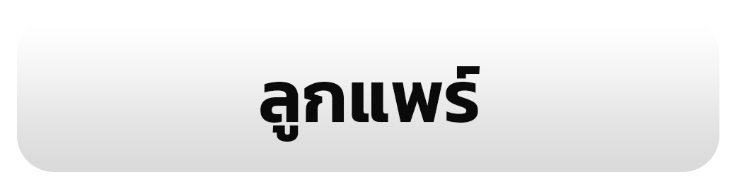 รูป 27