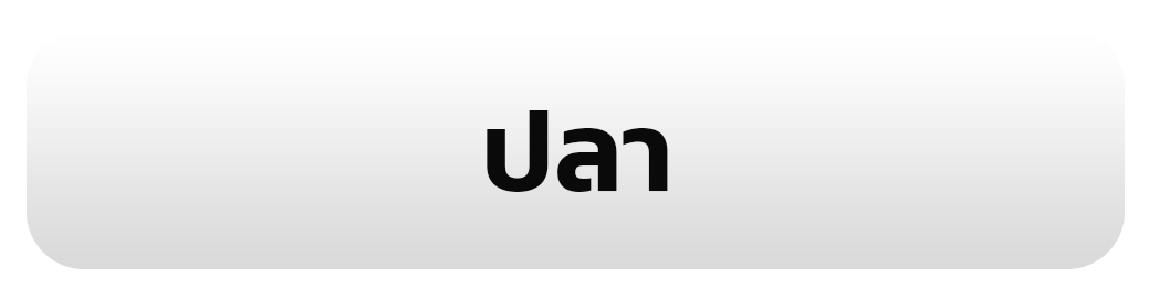 รูป 10