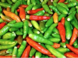 พริกกระเหรี่ยงเด็ดก้าน