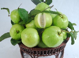 ฝรั่งแป้น