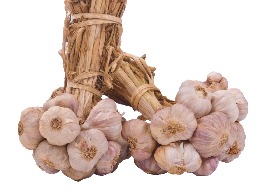 กระเทียมไทย (แบบมัด)