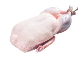 เป็ดสด