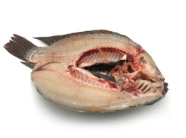 ปลานิล (ผ่าแบบผีเสื้อ)