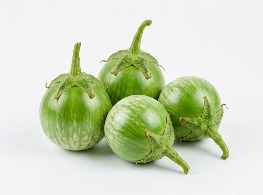 มะเขือเปราะ (คัดพิเศษ)