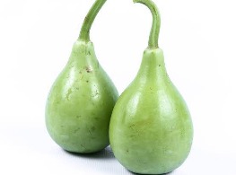 น้ำเต้าอ่อน