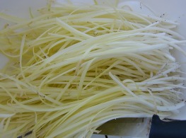 กุยช่ายขาว