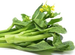 กวางตุ้งดอก