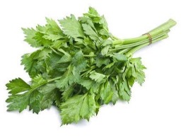 จิงจูฉ่าย