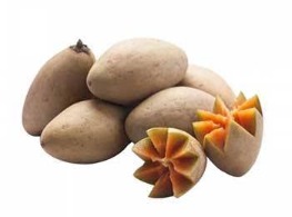 ละมุดมาเลย์