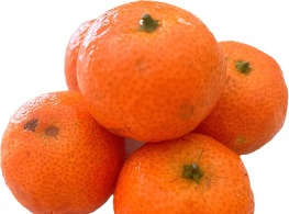 ส้มซาถัง