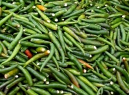 พริกจินดาเขียวเด็ด