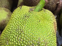 ขนุนเพชรราชา