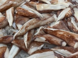 หางหมึกยักษ์