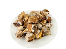 หอยหวาน(หอยหมาก)