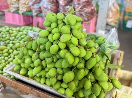 มะม่วงเบา