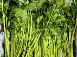 ขึ้นฉ่าย (ตั้งโอ๋จีน)