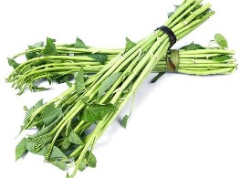 ผักบุ้งไทย