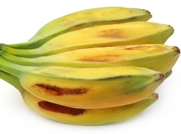 กล้วยตานี