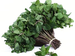 สะระแหน่