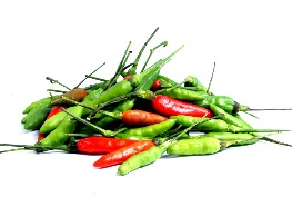 พริกจีน