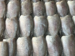 ปลาสลิด