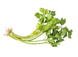 ขึ้นฉ่าย (ตั้งโอ๋ไทย) ล้าง