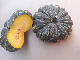 ฟักทองศรแดง / ฟักทองลายข้าวตอก / ฟักทองลาย