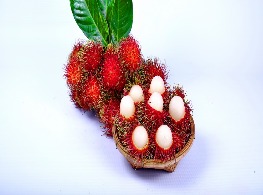 เงาะสีทอง