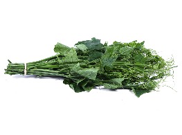 ใบฟักแม้ว