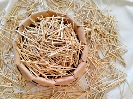 ไม้กลัด