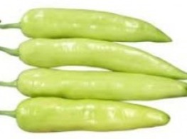 พริกอ่อน