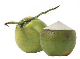 มะพร้าวน้ำหอมเขียว