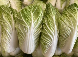 ผักกาดขาว(ลุ้ย)ไทยเขียว