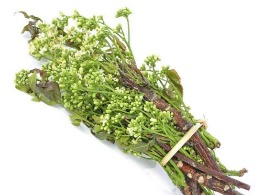 ดอกสะเดา