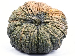 ฟักทองทองอำไพ