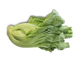 ผักกาดเขียว