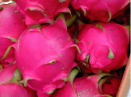 แก้วมังกรขาว ภูเรือ