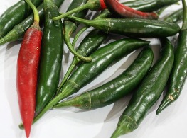 พริกบางช้าง