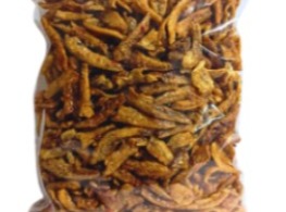 ปลากรอบ 