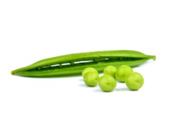 ถั่วลันเตา