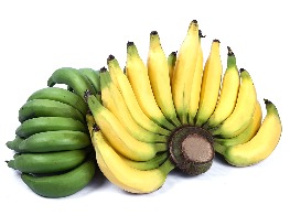 กล้วยเล็บมือนาง