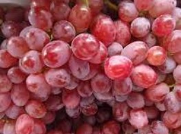 องุ่นหยดน้ำ