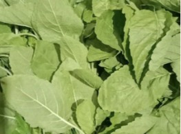 กะเพราเด็ด