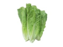 สลัดคอส (ตัดแต่ง)