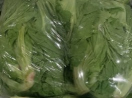 ผักกาดเขียวปลี/ผักโสภณ