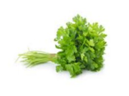 ผักชีจีน