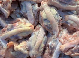 โครงล่างไก่