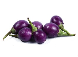 มะเขือไข่เต่าม่วง