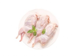 นกกระทา